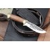 Knife Kizlyar Drofa - AUS-8 (Hunting etched motif)