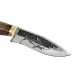 Knife Kizlyar Akula 2  - (Hunting etched motif)