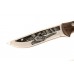 Knife Kizlyar Fazan - AUS-8 (Hunting etched motif)