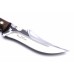 Knife Berkut Klyk -X12MF/nut